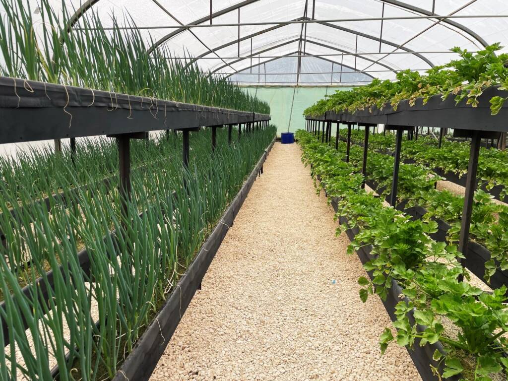 Aman-Grow_Technical-Brochure-Rev