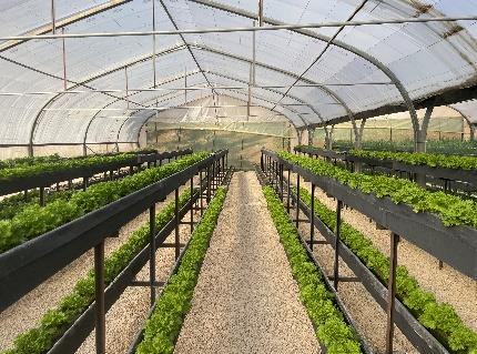 Aman-Grow _Technical-Brochure-Rev-2